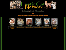 Tablet Screenshot of exoticcatnetwork.com